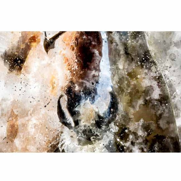 Breath Canvas Print