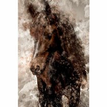 Lovely Canvas Print - Horse Art