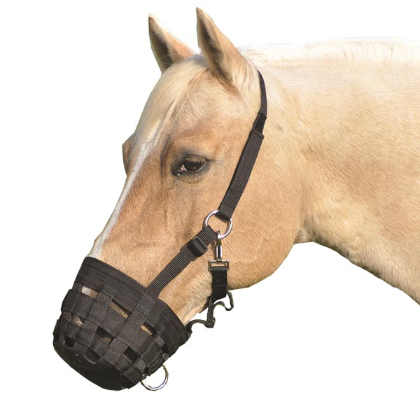 Cashel Grazing Muzzle Halter