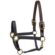 Perri's Black Nylon Safety Halter