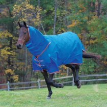 Shires Highlander Plus Turnout Blanket Medium Royal Blue