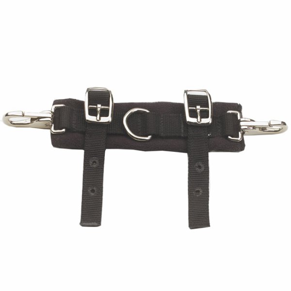 Centaur Quick Snap Lunging Converter