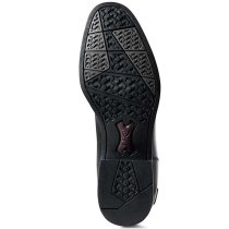 Ariat Women’s Kinsley Dress Boots