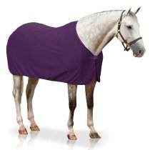 Pessoa Turbo Dry Cooler Plum