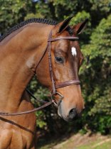 Arc de Triomphe (ADT) Tribute Fancy Raised Bridle