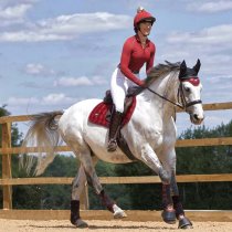 Woof Wear Vision Ergonomic Fly Veil
