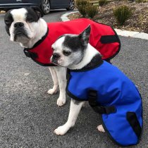 Foggy Mountain Nylon Dog Raincoat