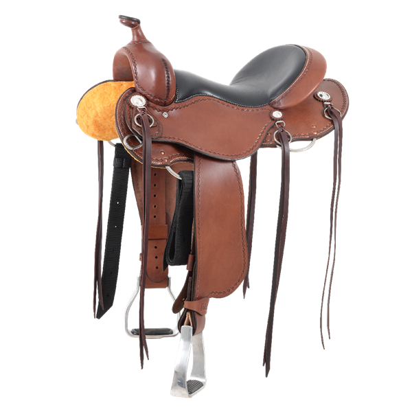 Cashel Trail Saddle