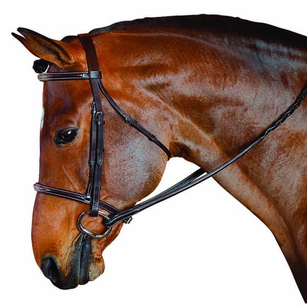 M Toulouse Standard Hunter Bridle Pony