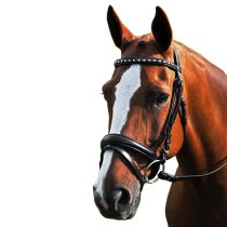 Red Barn Cadence Dressage Bridle