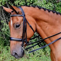 Red Barn Cadence Dressage Bridle