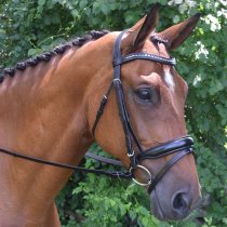 Red Barn Topline Dressage Bridle