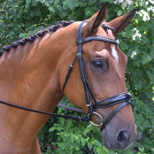 Red Barn Topline Dressage Bridle
