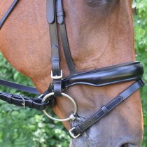 Red Barn Topline Dressage Bridle