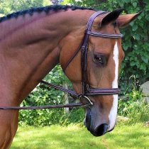 Black Oak Laurel Hunter Jumper Bridle