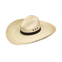 Alamo Palm Gus Hat