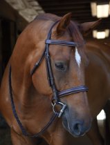 Black Oak Poppy Hunter Jumper Bridle
