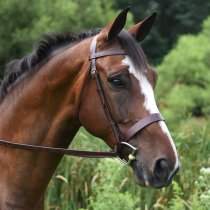 Black Oak Foxtrot Hunt Bridle
