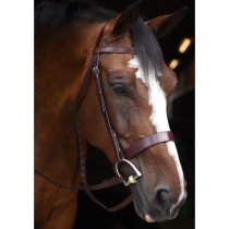 Black Oak Foxtrot Hunt Bridle
