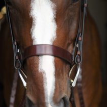 Black Oak Foxtrot Hunt Bridle