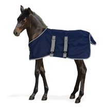 Centaur Foal Turnout Blanket 200g