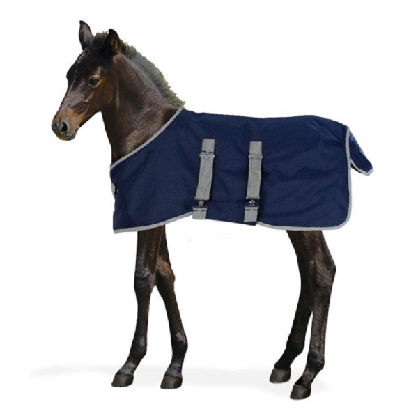 Centaur Foal Turnout Blanket 200g