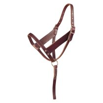 Tory Leather Foal Halter