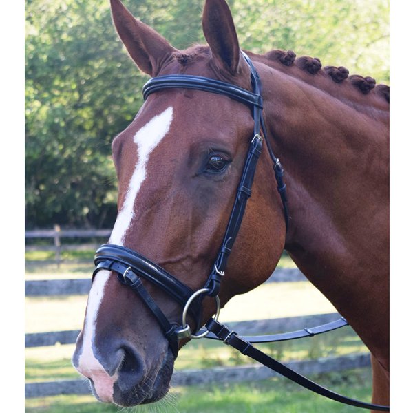 Black Oak Juniper Dressage Bridle