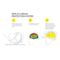 Charles Owen Halo MIPS Riding Helmet