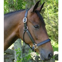 Black Oak Sycamore Leather Halter