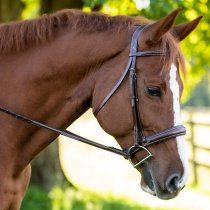 KL Select Red Barn Ocala Bridle