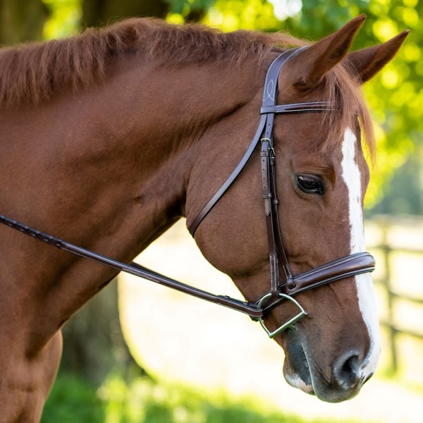 KL Select Red Barn Ocala Bridle