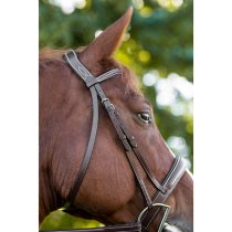 KL Select Red Barn Ocala Bridle