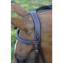 KL Select Red Barn Ocala Bridle