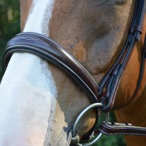 KL Select Red Barn Ocala Bridle