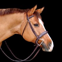 Red Barn Tryon Bridle