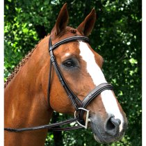 Red Barn Tryon Bridle