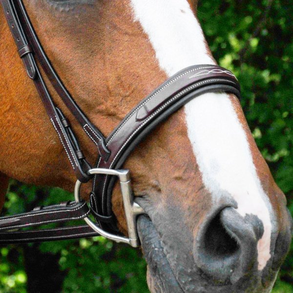 Red Barn Sonoma Hunter Bridle main image 1