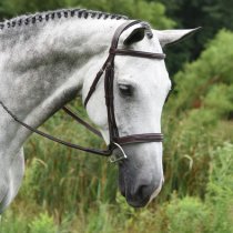 Red Barn Indio Hunt Bridle
