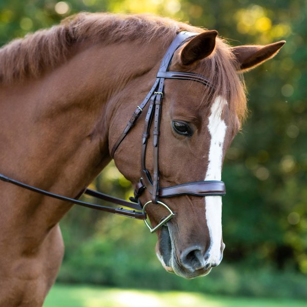 Red Barn Arena Ergonomic Dressage Bridle