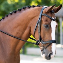 Black Oak Palm Flash Dressage Bridle