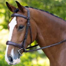 KL Select Hampton English Bridle