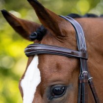 KL Select Hampton English Bridle