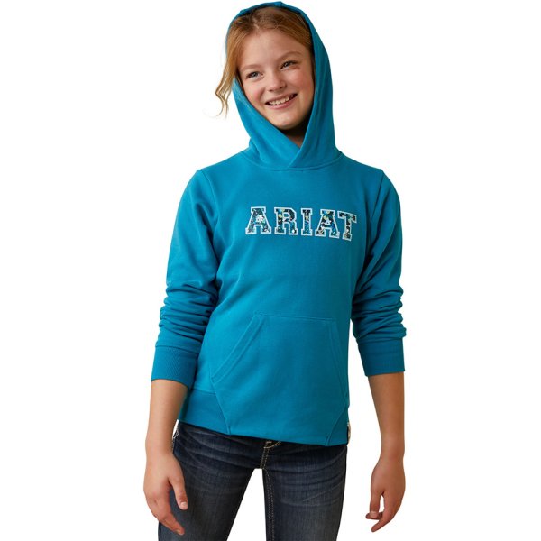 Ariat 3D Logo 2.0 Hoodie Sweatshirt XXL