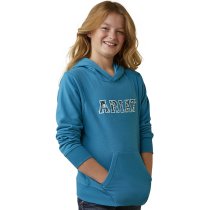 Ariat 3D Logo 2.0 Hoodie Sweatshirt XXL