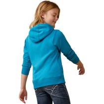 Ariat 3D Logo 2.0 Hoodie Sweatshirt XXL