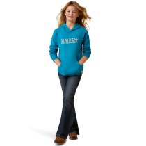 Ariat 3D Logo 2.0 Hoodie Sweatshirt XXL