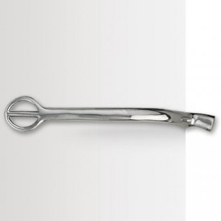 Centaur Stainless Steel Tom Thumb Spur 1/4"