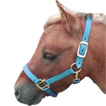 Nylon Halter - Large Mini