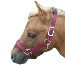 Nylon Halter - Mini
